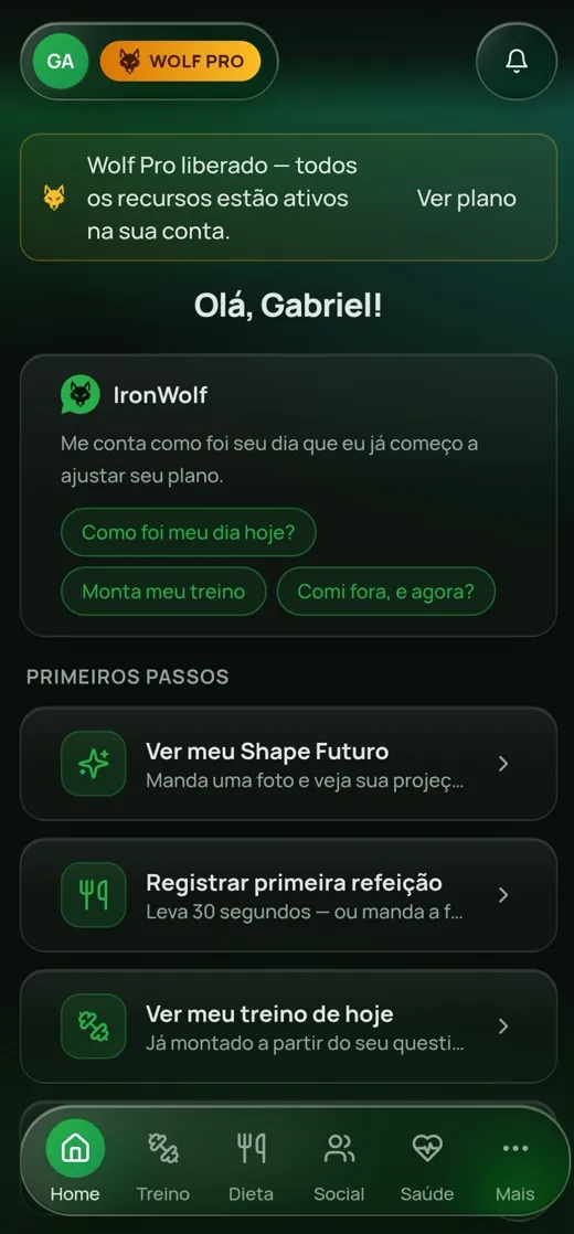 Tela inicial do Iron Wolf App com o resumo do dia